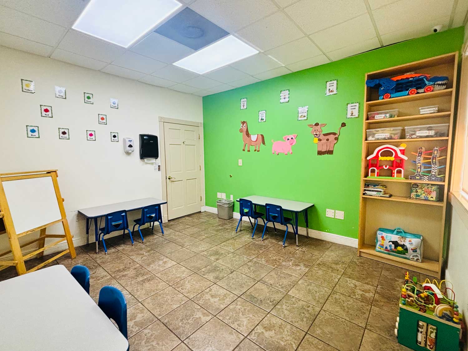 Mestre Behavior Green Therapy Room